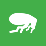 white vector image of a flea on a green background